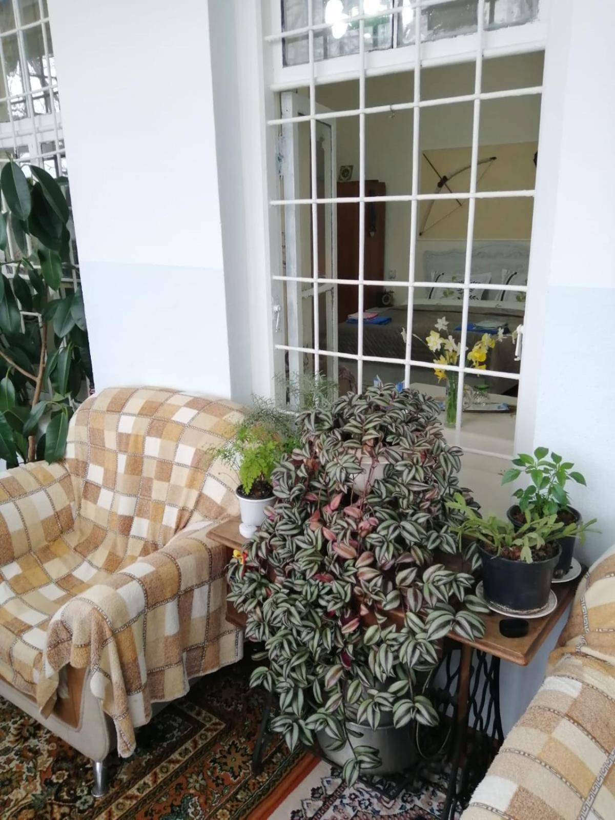Ali Ancient House 555 Hotel Şǝki Kültér fotó