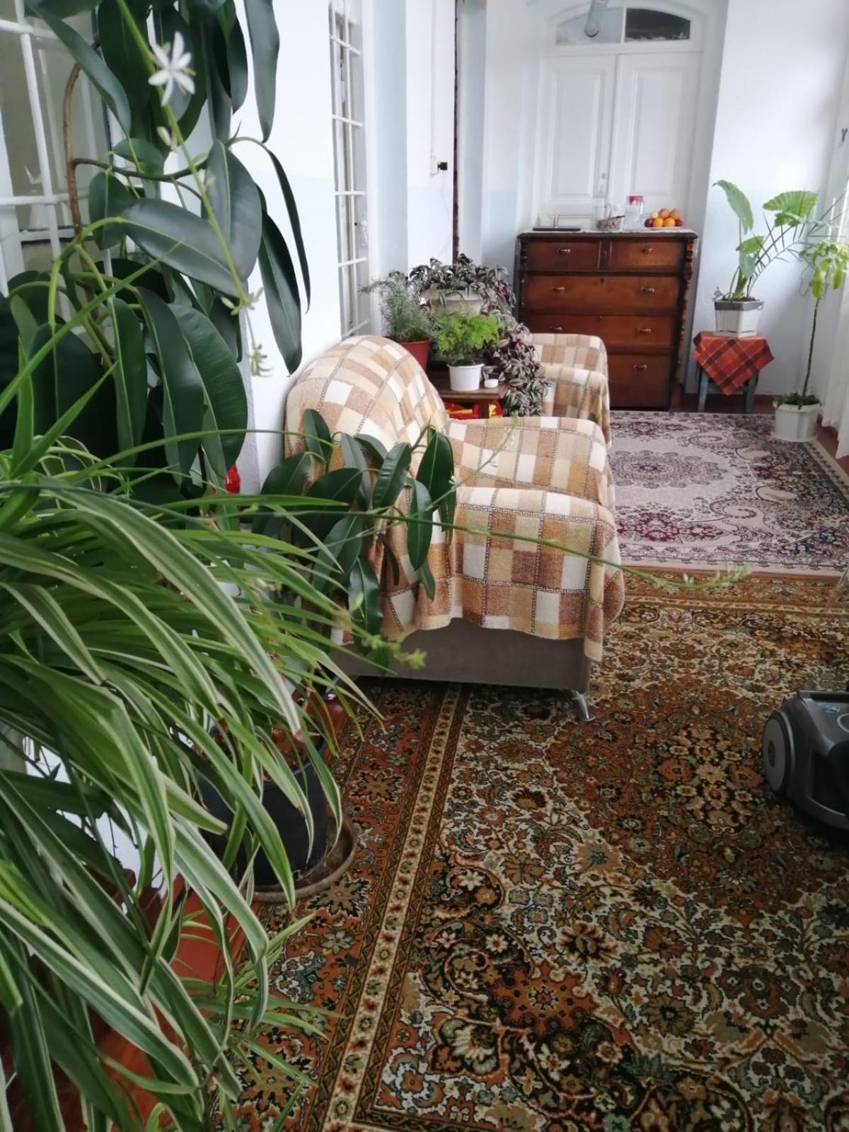 Ali Ancient House 555 Hotel Şǝki Kültér fotó